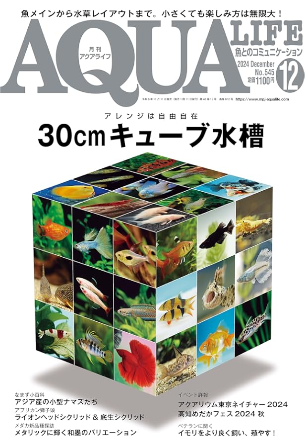 月刊アクアライフ 2025年01月号 ナマズ超図鑑500 ☆特別付録